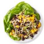 Vegan-1 وگان
